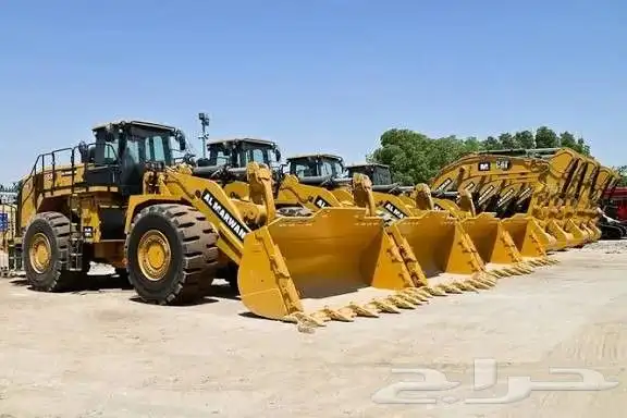 شهادات تيوفي 7