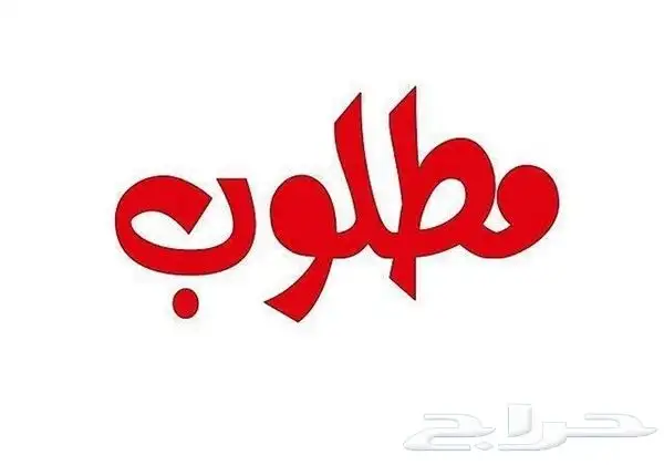 مطلوب صدام خلفي هايلكس 84 85 86 0