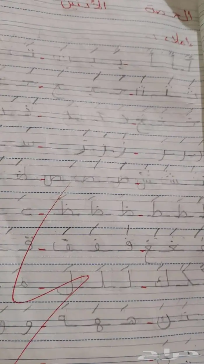معلمة تأسيس ومتابعة للمرحلة الابتدائية ورياض الأطفال بالجبيل 2
