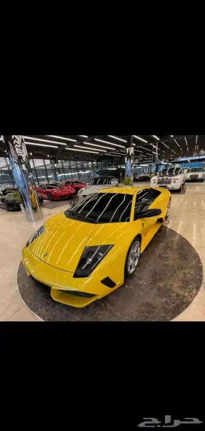 صيانة كلتش وجير المزراتي وفيراري ولمبورغيني index