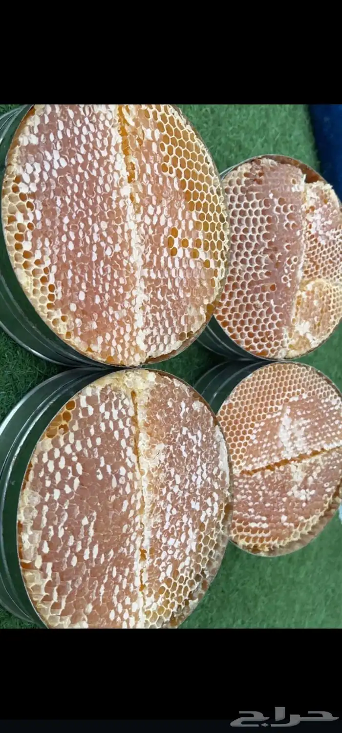 عسل سدر سمر طلع جميع الأنواع 7