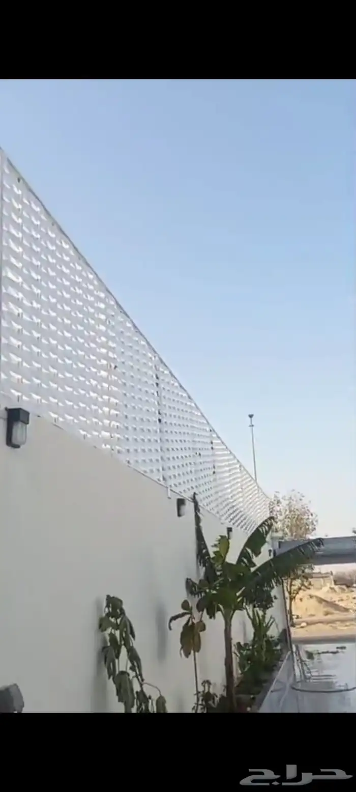 سندويش بنل الاحساء مضلات الاحساء 5