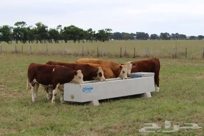 معالف حلال خرسانية 0