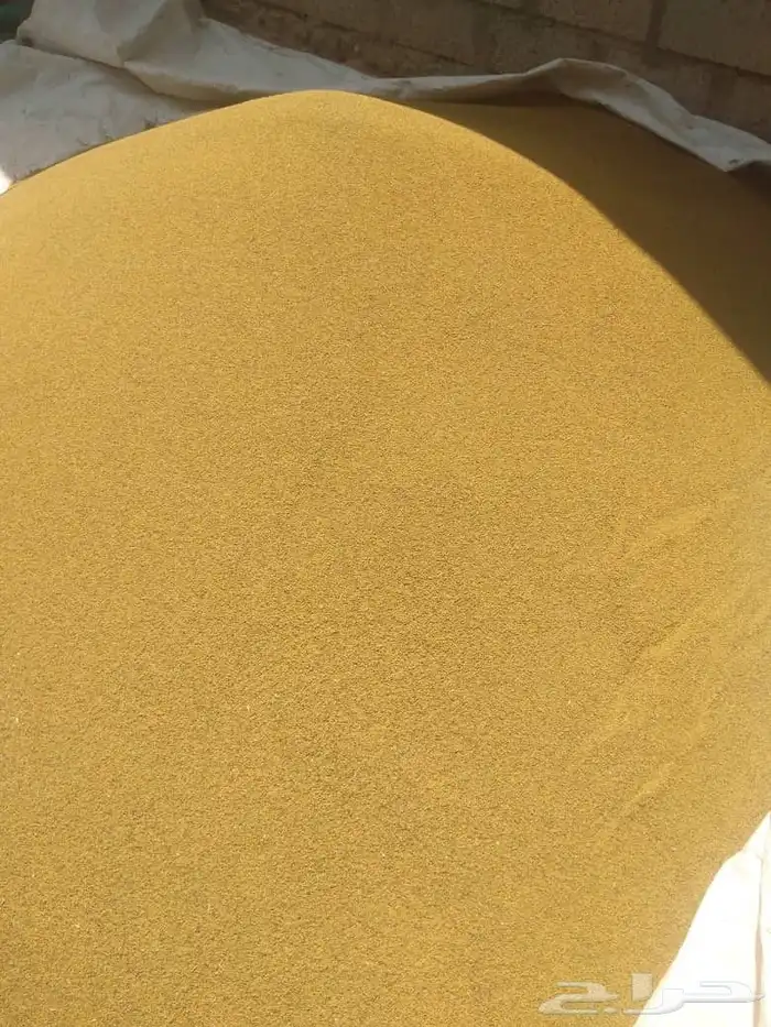 السلام عليكم يوجد لدينا برسيم ساحلي رقم واحد موجود في الرياض 1