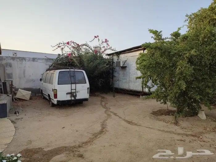 باص 14 راكب تويوتا موديل 1984م 0