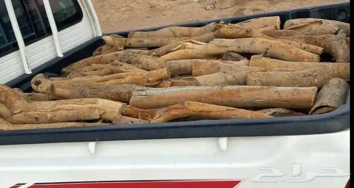 هيلكس غمرتين 2013 0