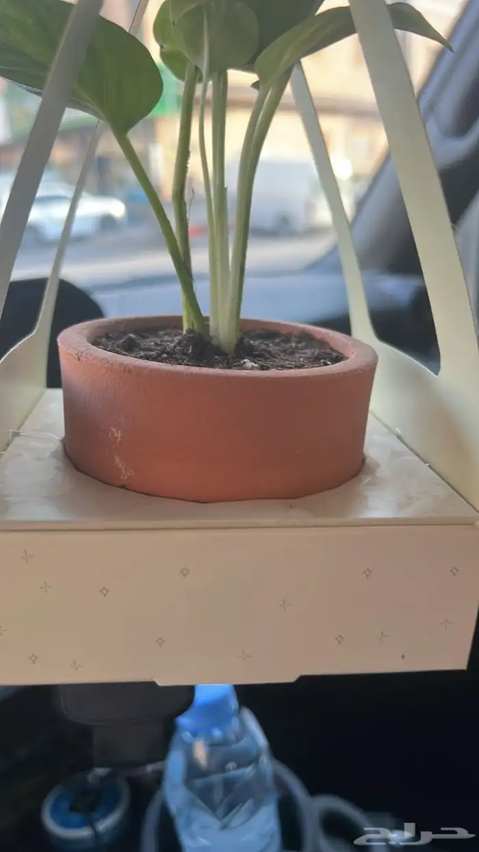 جميع انواع الفخار وابراج الحمام والفعاليات والاكواب 5