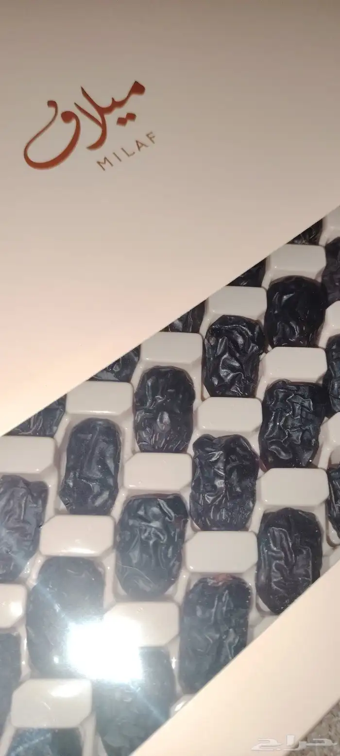 تمر عجوة المدينة ميلاف 1