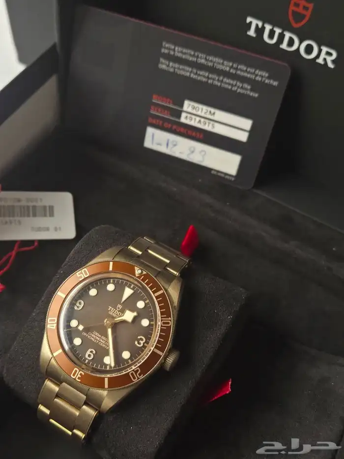 تيدور برونز Tudor 0