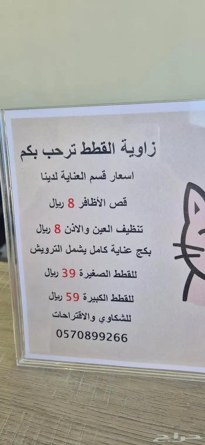 فندقة قطط لدى زاوية القطط بريدة 25 ريال فقط 0