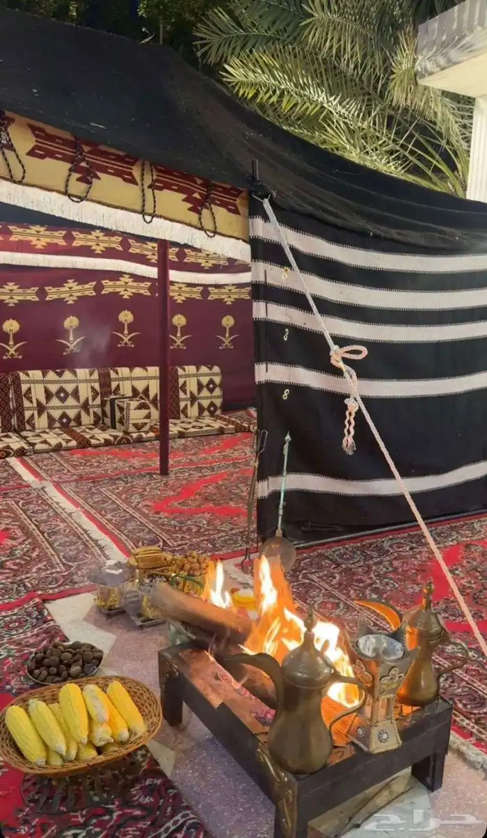 تاجير شبك نور وعقود 4