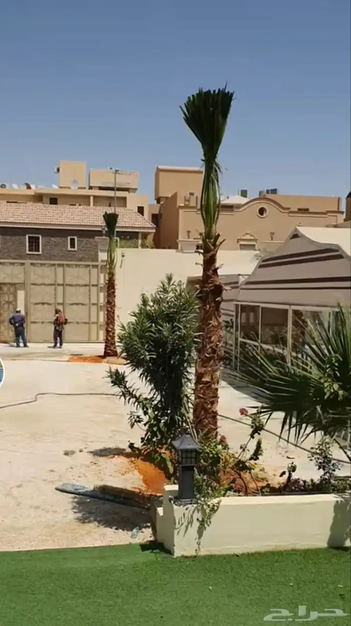 وشنطونيا زينه ابومروحه جميع المقاسات 2