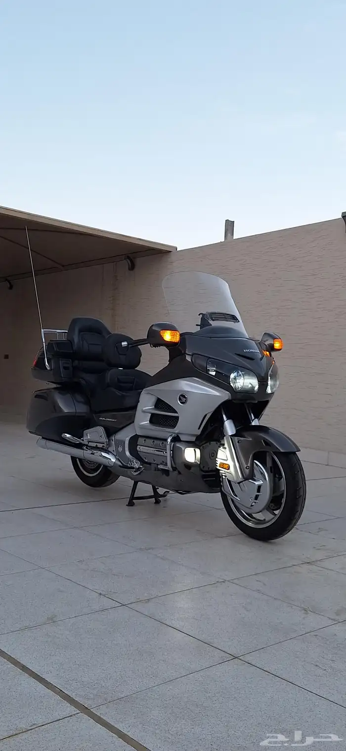 قولد وينق 2013 - لفل 4 (( شرط )) 4