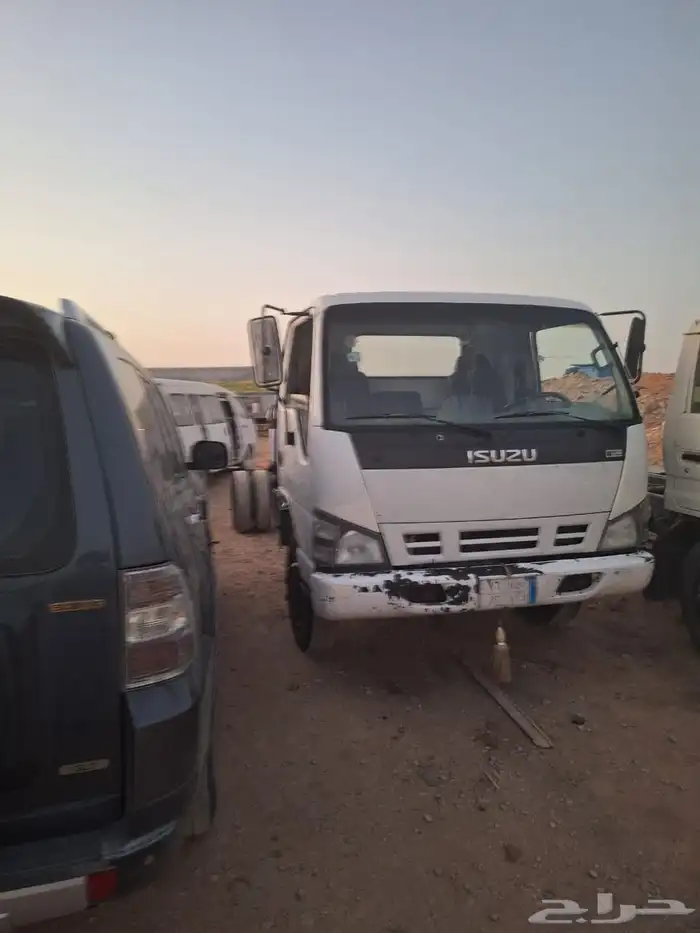 دينا ايسوزو NQR 2006 3