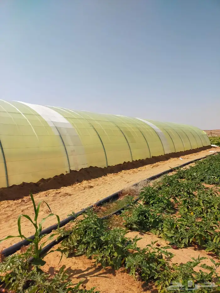 بيع وتركيب بيوت محمية وصالات زراعية وجميع مستلزماتها 1