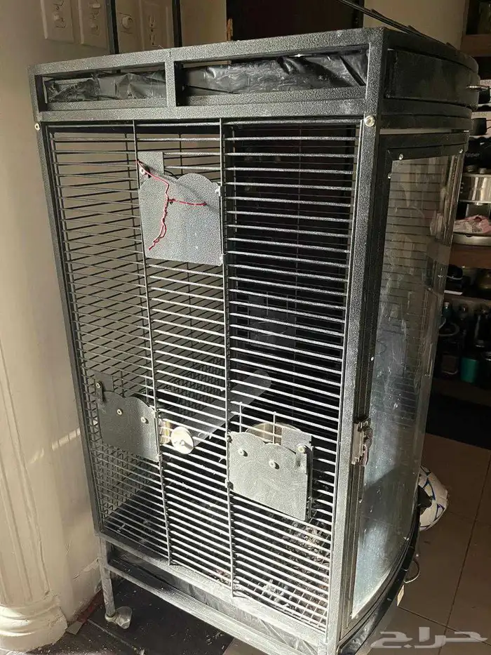 للبيع طير كوكاتو 1