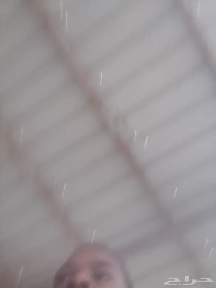 سطول بوية الكبيرة نظيفة جدآ وجديدة 5