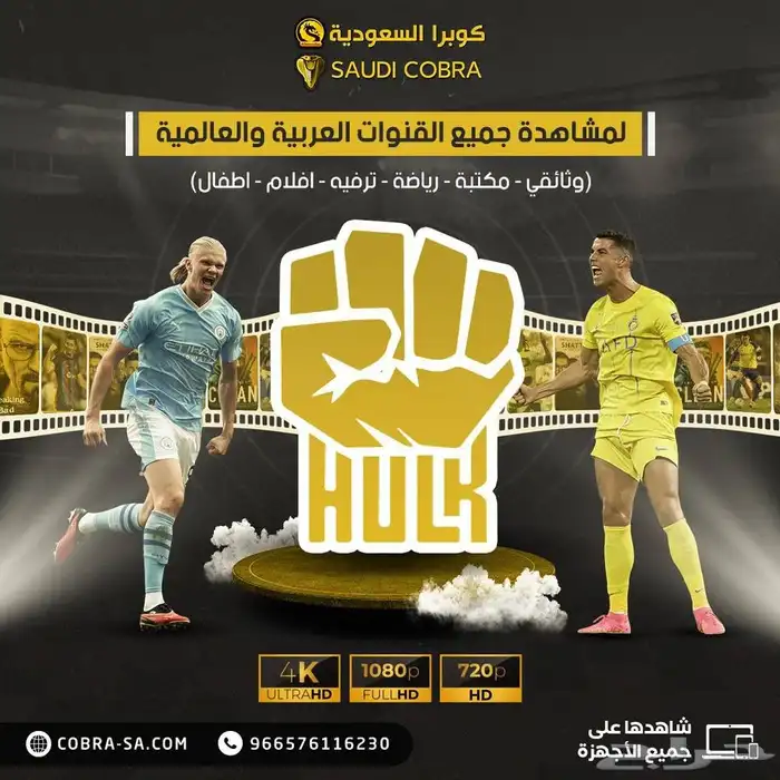 اشتراك هولك الالماني 3 شهور و 6 شهور و سنة 0