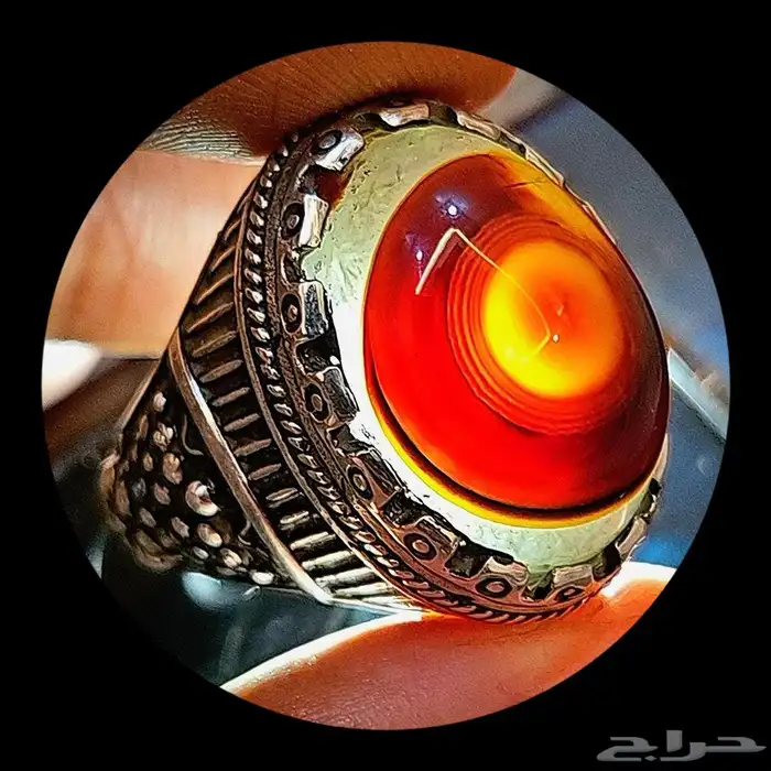 سليماني هندي مميز 5