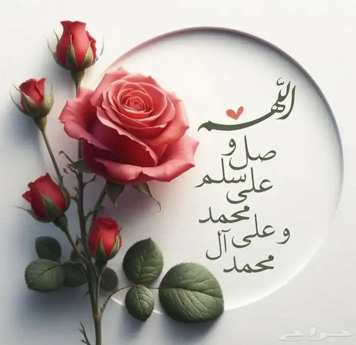 مدرس خصوصي كيمياء وفيزياء للمراحل الجامعية 0