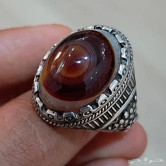 سليماني هندي مميز 2