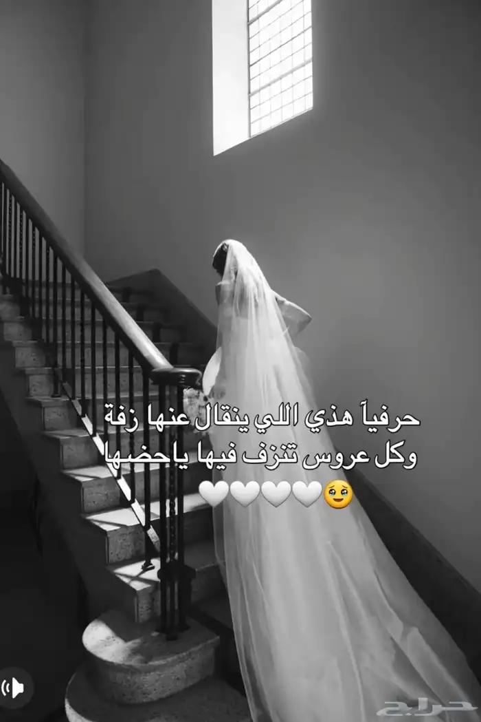 استديو شوق الخليج لطلب الشيلات 3