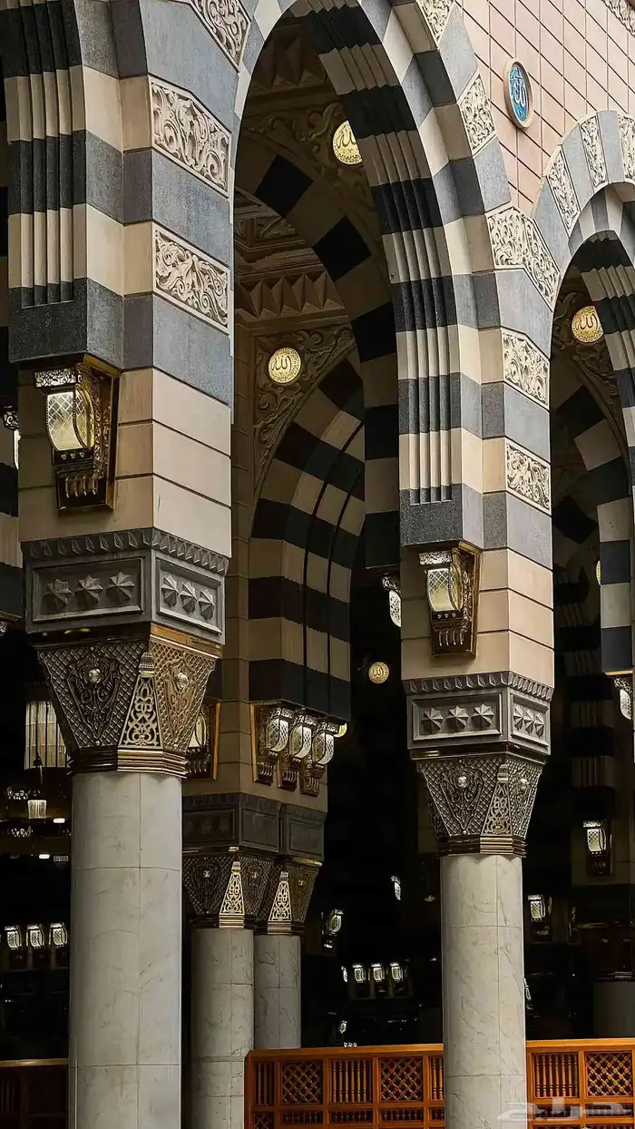 معلم للقرآن الكريم والتجويد المتقن 0