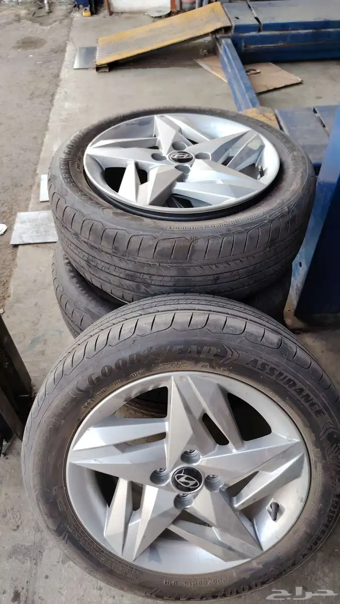 جنوط اكسنت مقاس 16 وكاله الأصلي 1