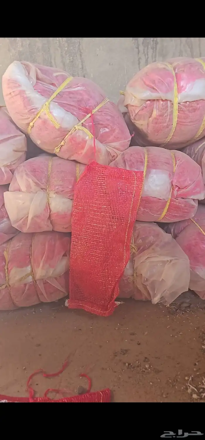 للبيع  خياش  بصل. 5 كيلو 0