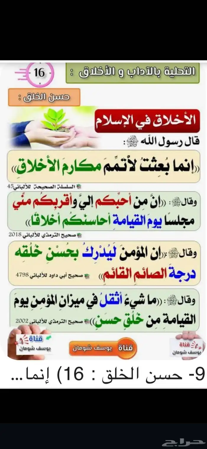 المدينة المنورة 0