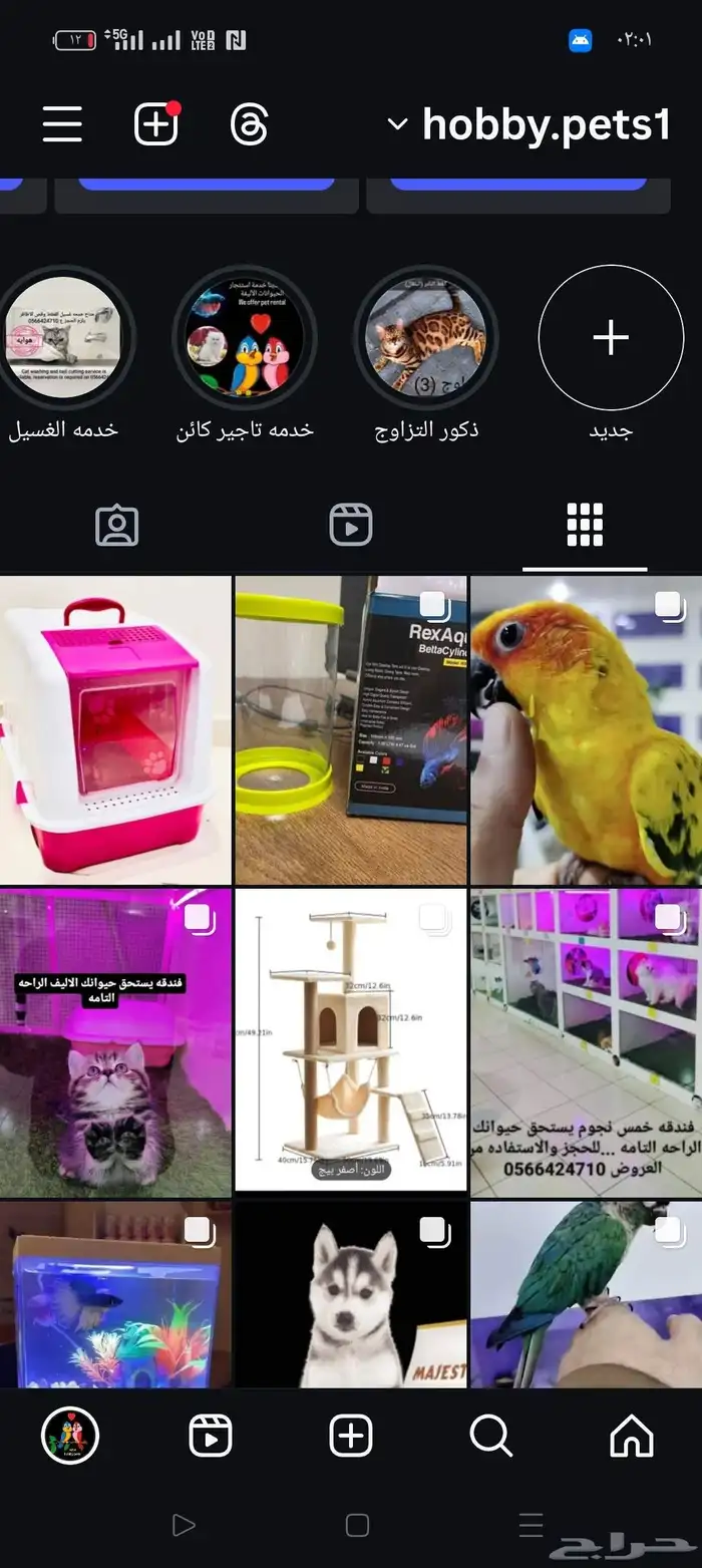 متوفر ارانب وصوص 2