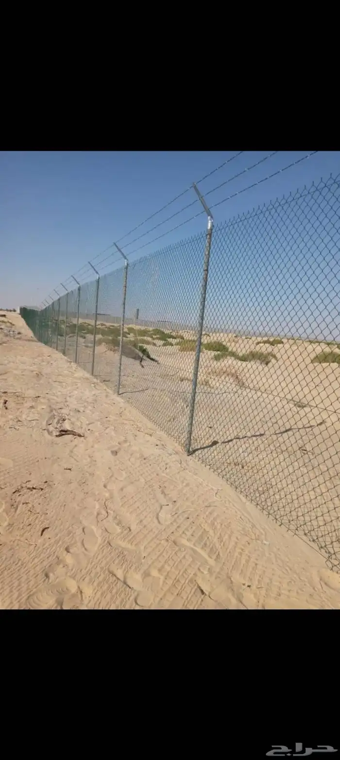 سندويش بنل شبوك الاحساء ربراب حجر هناقر مستودعات الشرقيه 2