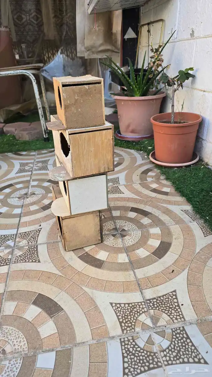 بياضات روز 2