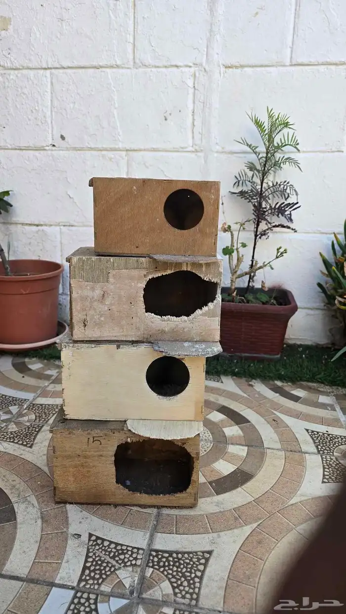 بياضات روز 1