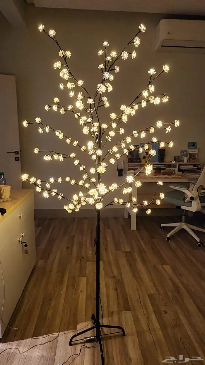 اضاءه ارضيه 1