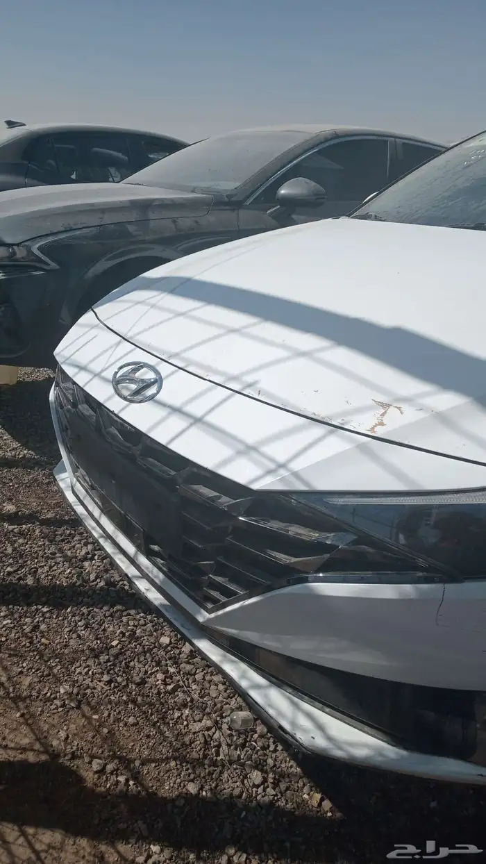 تشليح الحاير والسلي 0