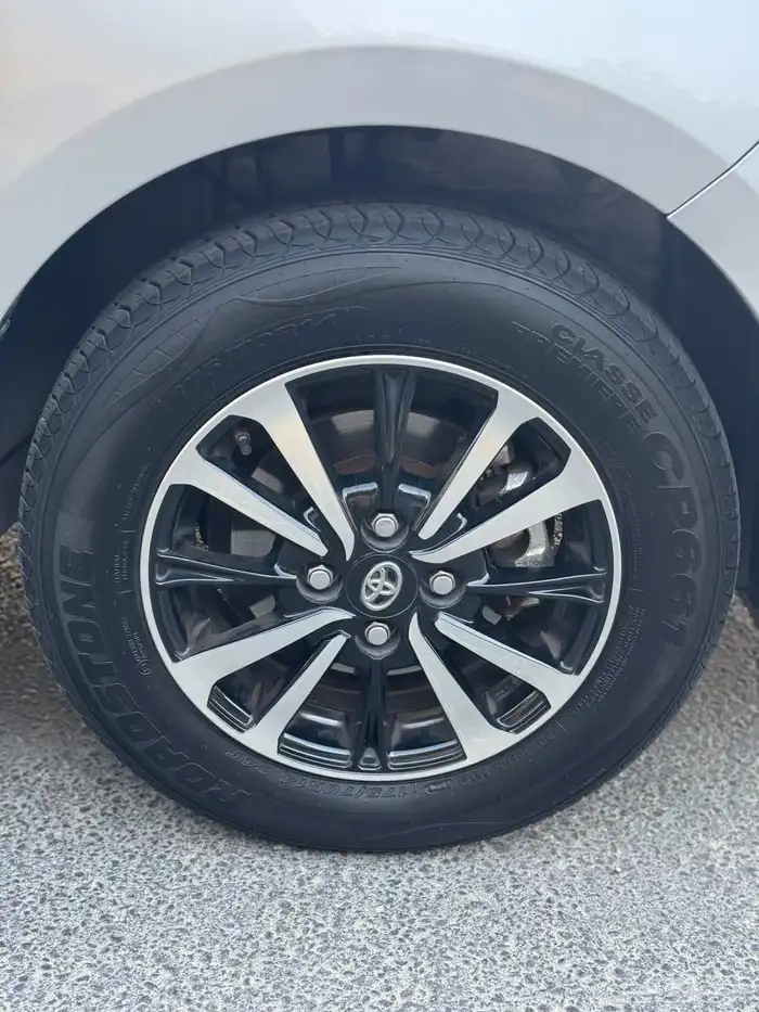 يارس المالك الاول تشيك وكاله ممشى قليل 19