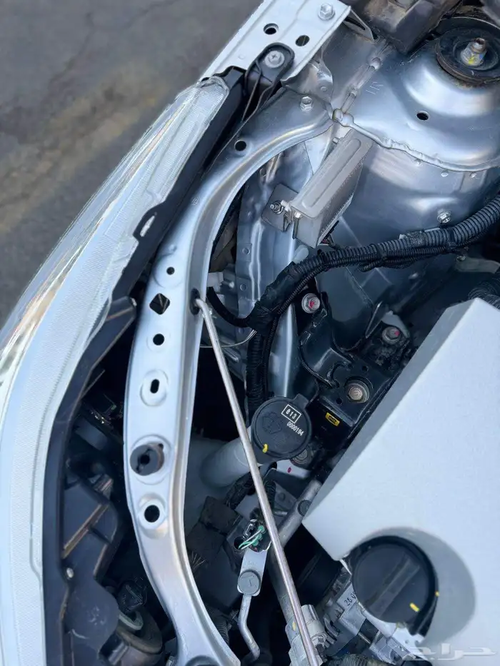 يارس المالك الاول تشيك وكاله ممشى قليل 11