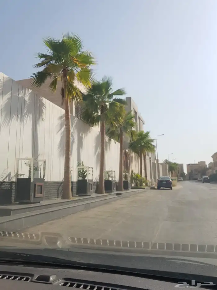 نخل واشنطن أمريكي ونخل عربي مثمر وأشجار وثيل 9