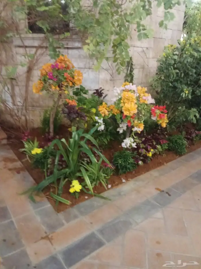 مشتل ابو عبده لتنسيق الحدائق 1