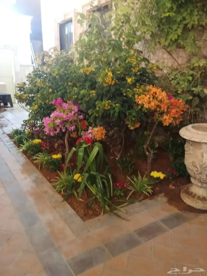 مشتل ابو عبده لتنسيق الحدائق 2