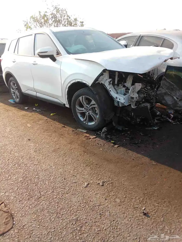 فورد تيريتوري 3