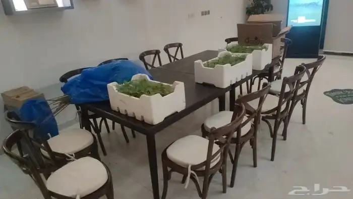 تأجير كراسي وكنب وطاولات 1