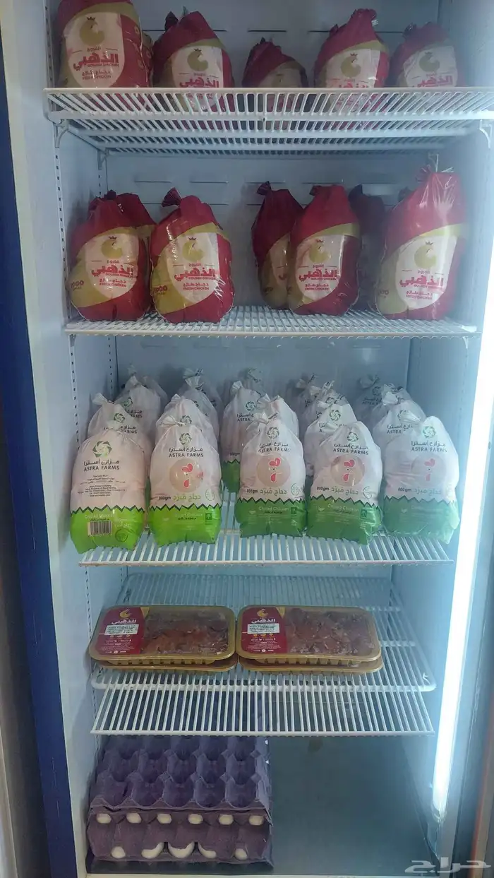 دجاج مبرد طازج يوميا 0