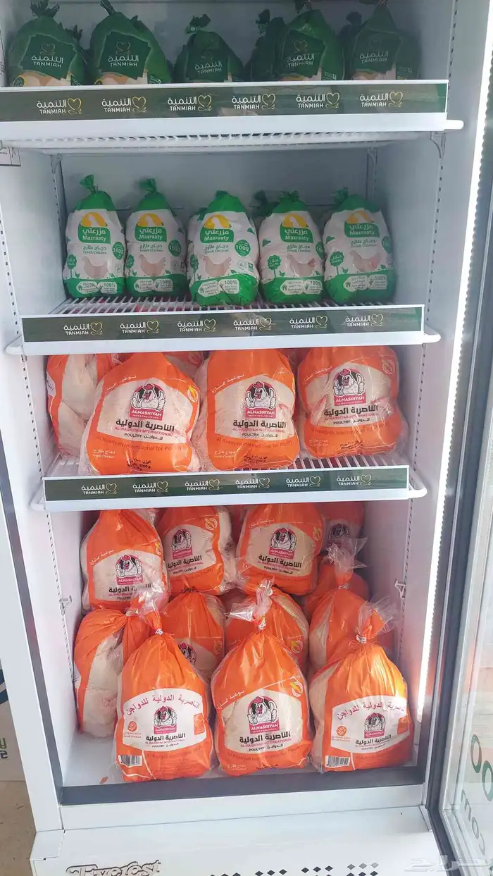 دجاج مبرد طازج يوميا 1