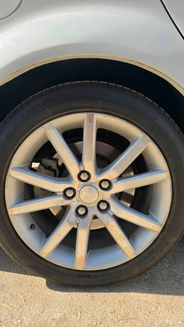 كابرس نضيف 21