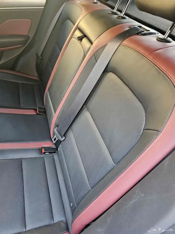 جيلي كولراي 2023 9