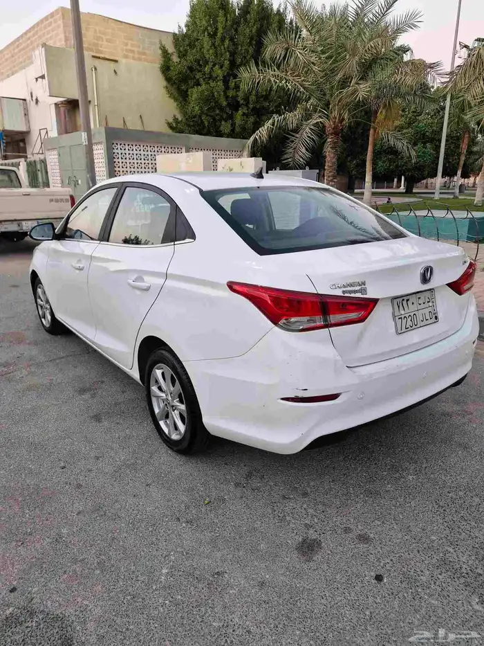 شنجان السفن 2020 فل كامل 1