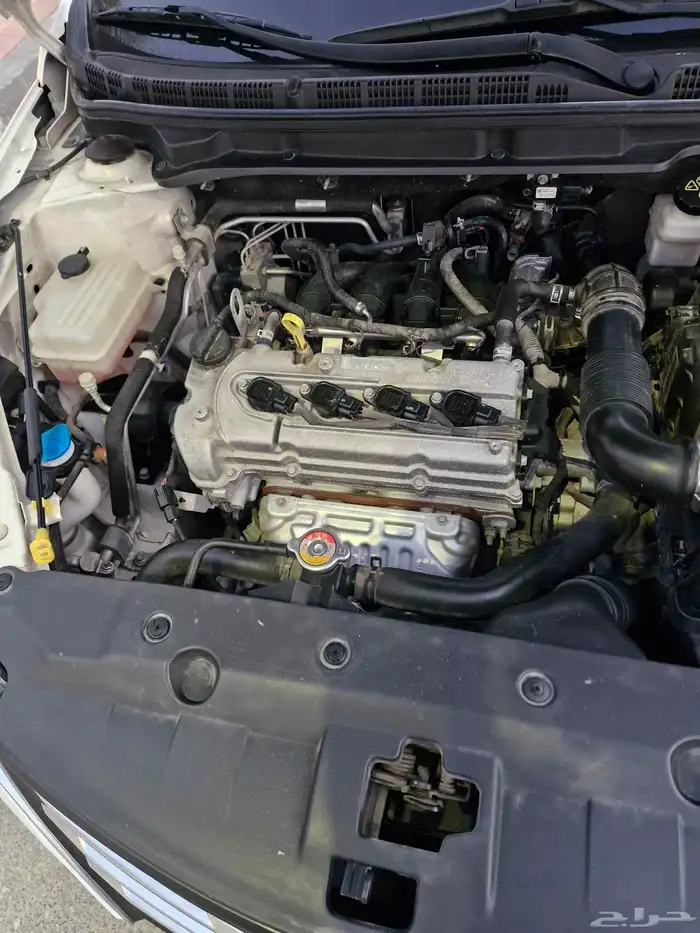 شنجان السفن 2020 فل كامل 10