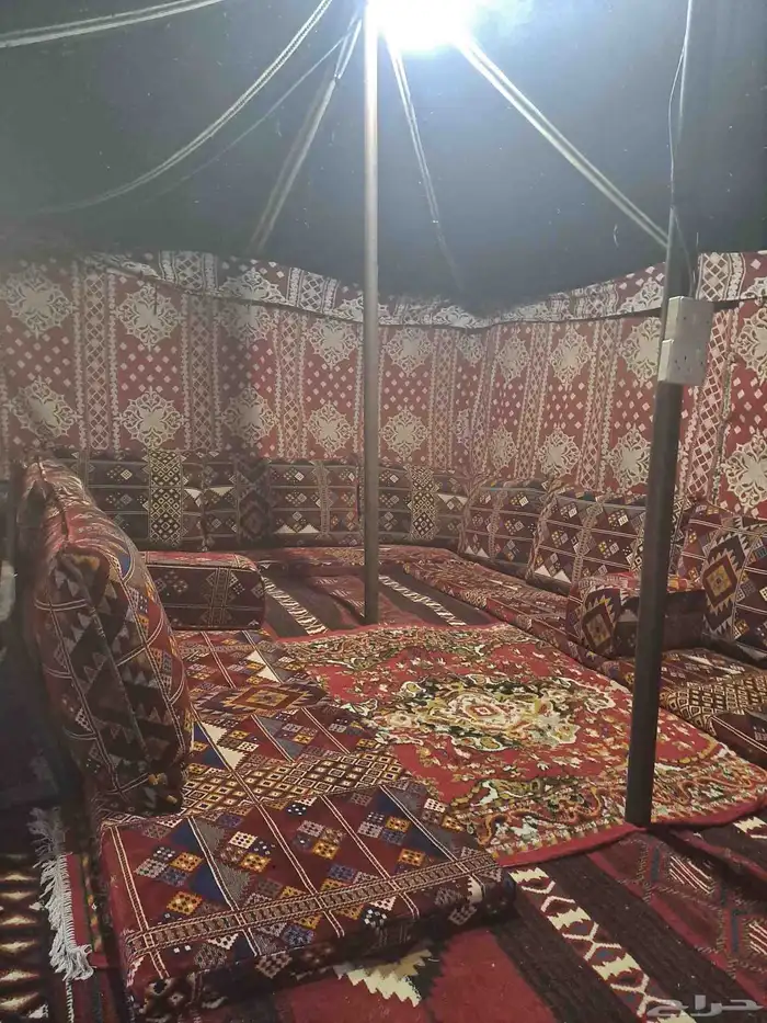 مخيم السعادة بنفود الشرقي 12